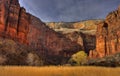 Zion Canyon floor in autumn Royalty Free Stock Photo