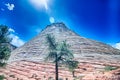 Zion Canyon National Park Utah Royalty Free Stock Photo