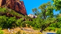 Zion Canyon in Zion National Park in Utah, United States Royalty Free Stock Photo