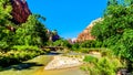 Zion Canyon in Zion National Park in Utah, United States Royalty Free Stock Photo