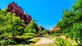 Zion Canyon in Zion National Park in Utah, United States Royalty Free Stock Photo