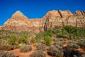 Zion Canyon National Park, Utah, United States of America Royalty Free Stock Photo