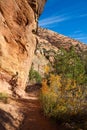 Zion Canyon Overlook Trail Royalty Free Stock Photo