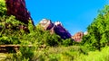 Zion Canyon with the peak of Mt. Majestic in Zion National Park, UT, USA Royalty Free Stock Photo