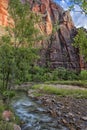 Zion Canyon, with the virgin river Royalty Free Stock Photo