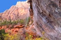 Zion Emerald Pools