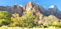 Zion Fall Color