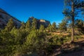 Zion Landscapes Royalty Free Stock Photo