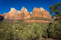 Zion Landscapes Royalty Free Stock Photo