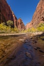 Zion Narrows in Autumn Royalty Free Stock Photo