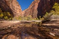 Zion Narrows Fall Reflection Royalty Free Stock Photo