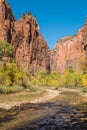 Zion Narrows in Fall Royalty Free Stock Photo