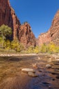 Zion Narrows in Fall Royalty Free Stock Photo