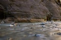 The Zion Narrows