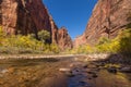 Zion Narrows Landscape in Fall Royalty Free Stock Photo