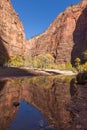 Zion Narrows Reflection in Fall Royalty Free Stock Photo