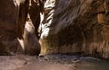 Zion Narrows Zion National Park 9 Royalty Free Stock Photo