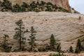 Zion national park, with beautiful colored rocks Royalty Free Stock Photo