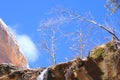 Zion National Park - Emerald Pools Trail Royalty Free Stock Photo