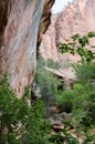 Zion National Park, Emerald Pools Trail, Utah Royalty Free Stock Photo