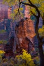 Zion National Park In the Fall, Utah Royalty Free Stock Photo