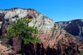 Zion National Park Landscape Royalty Free Stock Photo