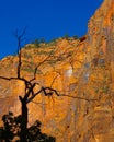 Zion National Park Mountain Cliffs Vertical Royalty Free Stock Photo