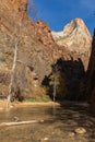 Zion National Park Narrows in Autumn Royalty Free Stock Photo