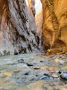 Zion National Park Narrows Trail Royalty Free Stock Photo