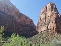 Zion National Park photos Royalty Free Stock Photo