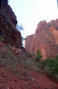 Zion National Park photos Royalty Free Stock Photo