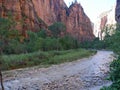 Zion National Park photos Royalty Free Stock Photo