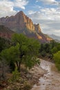 Zion - National park Royalty Free Stock Photo