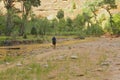 Zion National Park River walking Royalty Free Stock Photo