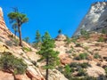 Zion National Park - Scenic aerial view from Zion National Park Canyon Overlook hiking trail, Utah, USA Royalty Free Stock Photo