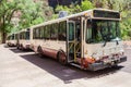 Zion National Park Shuttle Buses