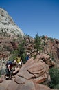 Zion national park tourists Royalty Free Stock Photo