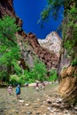 ZION NATIONAL PARK, UT - JUNE 19, 2018: Tourists with feet on the creek on a hot summer day Royalty Free Stock Photo