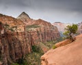 Zion National Park, Utah Royalty Free Stock Photo