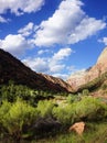 Zion National Park Valley Floor and Mountain Cliffs. Vertical Royalty Free Stock Photo