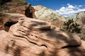 Zion rock formations