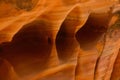 Zion sandstone Royalty Free Stock Photo