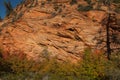 Zion Sandstone Scenery 2632