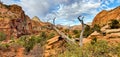 Landscape, Sky and clouds from overlook trail in Zion National Park Royalty Free Stock Photo