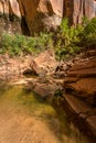 Zion Upper Emerald Pond Royalty Free Stock Photo