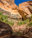 Zion Upper Emerald Pond Royalty Free Stock Photo