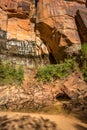 Zion Upper Emerald Pond Royalty Free Stock Photo