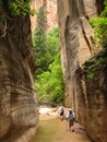 Zion Virgin Narrows hikers Royalty Free Stock Photo