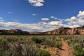 Zions National Park Desert Hike