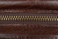 Zip fastener on a brown leather surface close-up